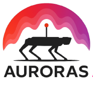 File:AURORAS logo.png